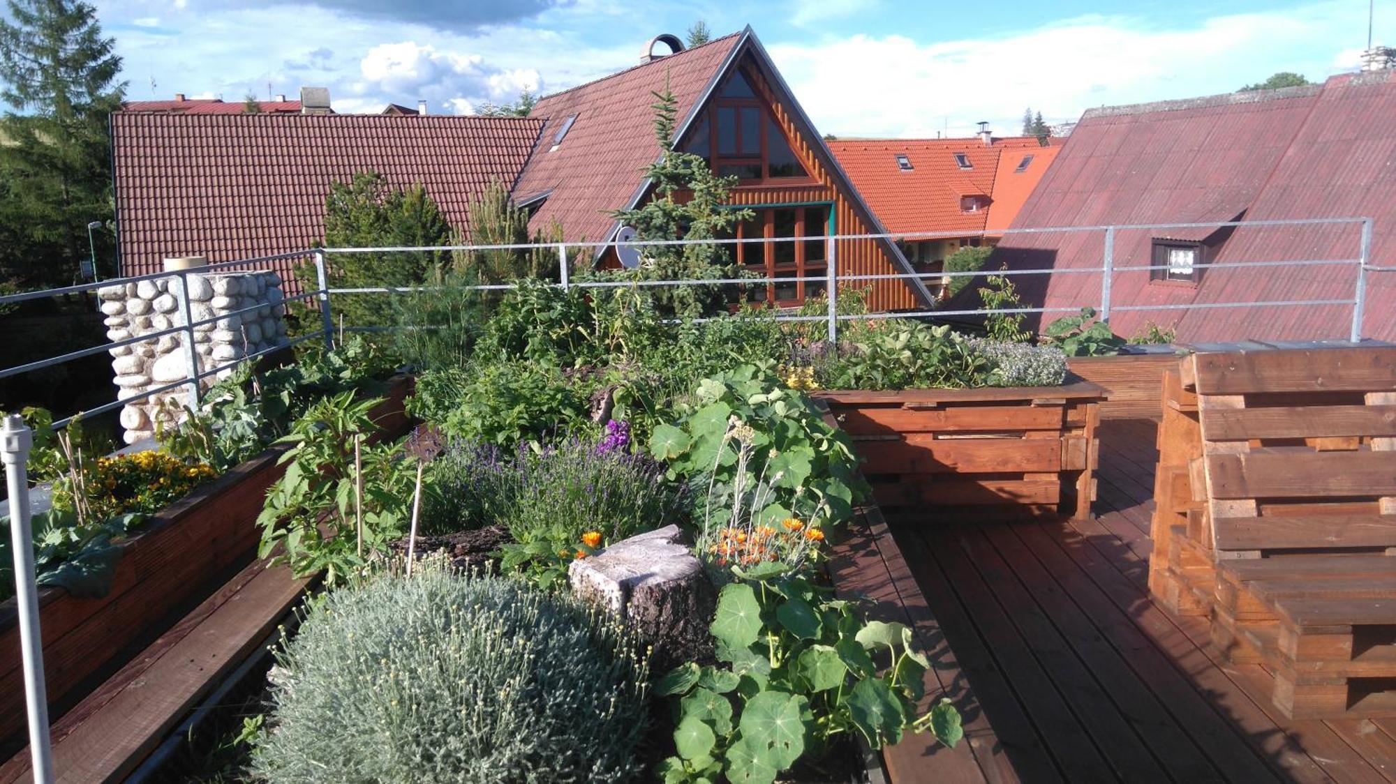 Family House - Apartmany Zuzana Стара Лесна Екстер'єр фото